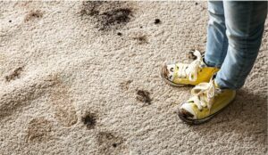 Modder tapijt schoenen vlekken